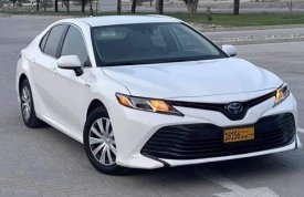 Toyota, Camry, 2020