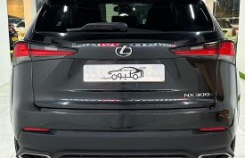 Lexus, NX, 300, 2019