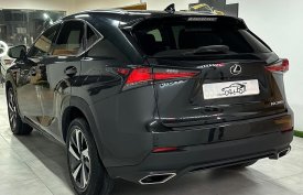 Lexus, NX, 300, 2019