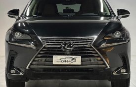 Lexus, NX, 300, 2019