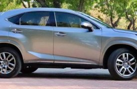 Lexus, NX, 300, 2018