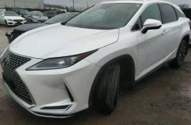 Lexus, RX, 350, 2022