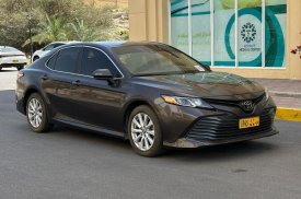 Toyota, Camry, 2020