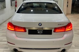 BMW, 5 seria, 530, 2019