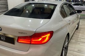 BMW, 5 seria, 530, 2019
