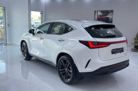 Lexus, NX, 350, 2024