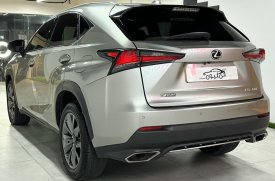 Lexus, NX, 300, 2019