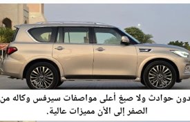 Infiniti, QX80, 2018