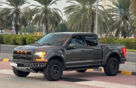 Ford, Raptor, 2017